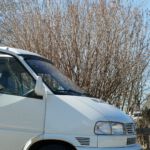 Sonnenschein am Morgen